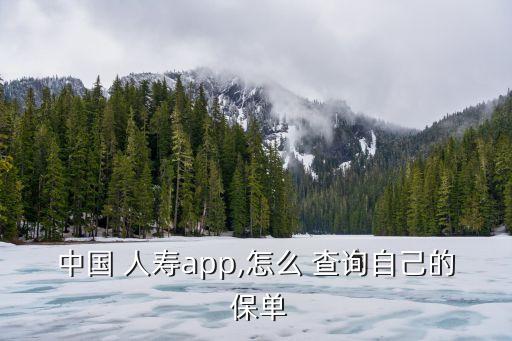 中國(guó) 人壽app,怎么 查詢(xún)自己的 保單