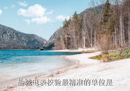 鹽城電表校驗最精準的單位是