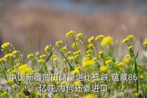 中國石油儲存量