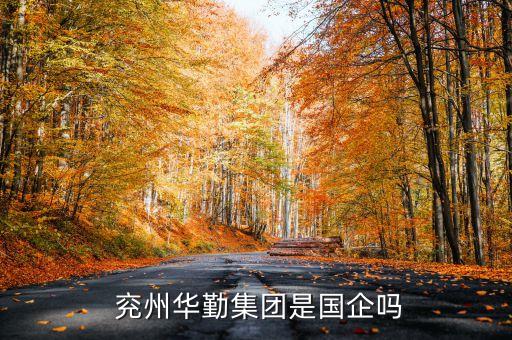  兗州華勤集團是國企嗎