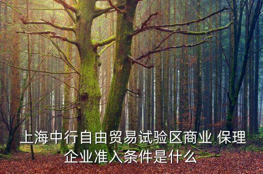 上海保理公司差額營(yíng)業(yè)稅