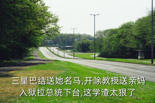  三星巴結送她名馬,開除教授送親媽入獄拉總統(tǒng)下臺,這學渣太狠了