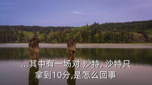 中國(guó)否決沙特