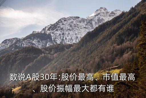 數(shù)說(shuō)A股30年:股價(jià)最高、市值最高、股價(jià)振幅最大都有誰(shuí)