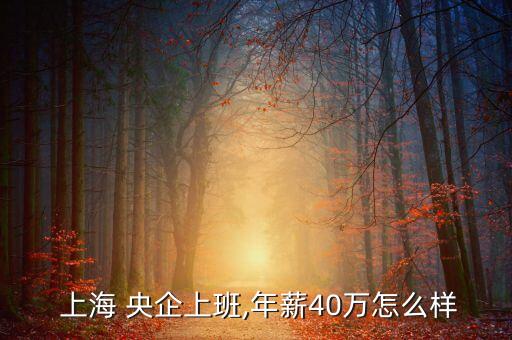  上海 央企上班,年薪40萬(wàn)怎么樣