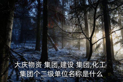 大慶物資 集團,建設 集團,化工 集團個二級單位名稱是什么