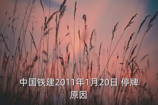 中國(guó)鐵建2011年1月20日 停牌原因