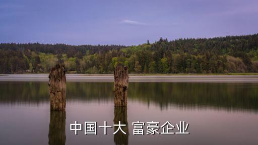 13年中國(guó)富豪排行榜,中國(guó)00后富豪排行榜