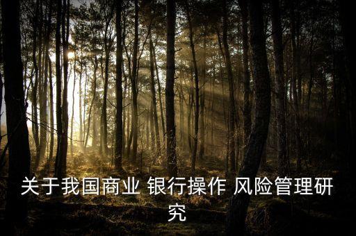 關(guān)于我國商業(yè) 銀行操作 風(fēng)險管理研究