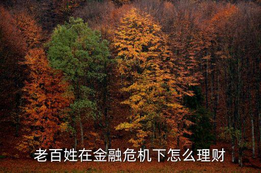 老百姓在金融危機下怎么理財