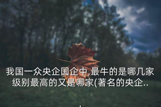 我國一眾央企國企中,最牛的是哪幾家級別最高的又是哪家(著名的央企...