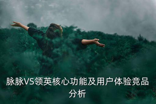 脈脈VS領(lǐng)英核心功能及用戶體驗(yàn)競(jìng)品分析