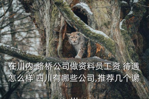 在川內 路橋公司做資料員工資 待遇怎么樣 四川有哪些公司,推薦幾個謝...