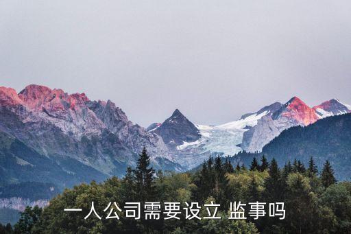 一人公司需要設立 監(jiān)事嗎