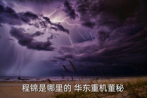 程錦是哪里的 華東重機董秘