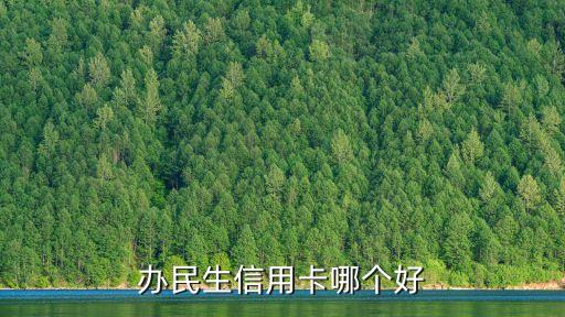 辦民生信用卡哪個好