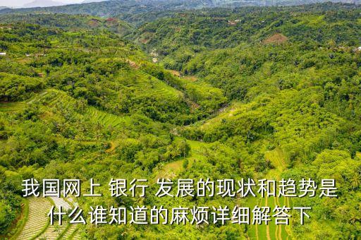 我國網(wǎng)上 銀行 發(fā)展的現(xiàn)狀和趨勢(shì)是什么誰知道的麻煩詳細(xì)解答下