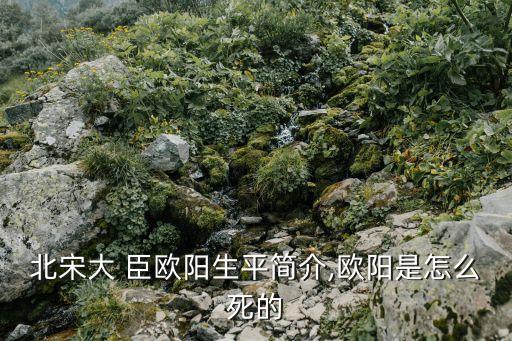 北宋大 臣?xì)W陽生平簡介,歐陽是怎么死的