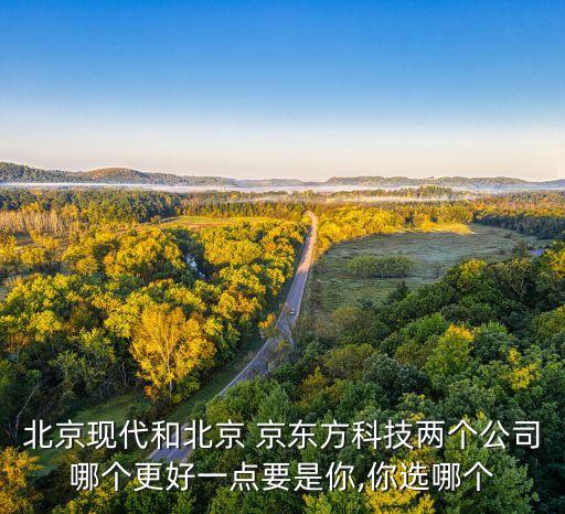北京現(xiàn)代和北京 京東方科技兩個公司哪個更好一點(diǎn)要是你,你選哪個