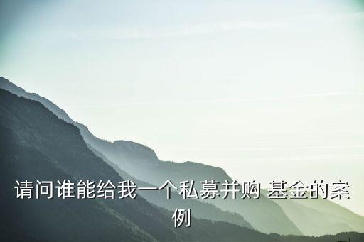 請問誰能給我一個(gè)私募并購 基金的案例