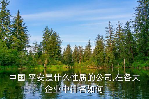 中國(guó) 平安是什么性質(zhì)的公司,在各大企業(yè)中排名如何