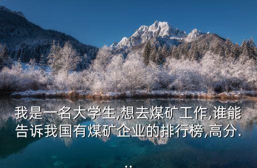 我是一名大學(xué)生,想去煤礦工作,誰能告訴我國有煤礦企業(yè)的排行榜,高分...