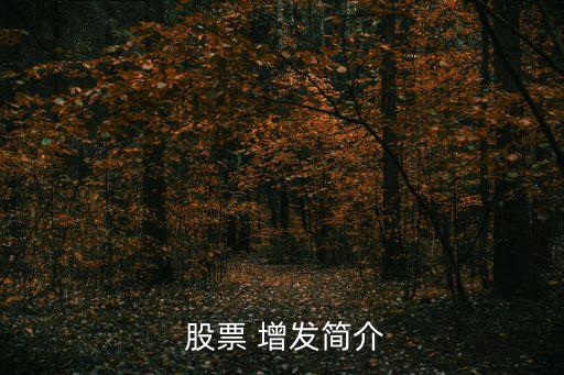 股票 增發(fā)簡(jiǎn)介