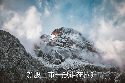新股上市一般誰(shuí)在拉升