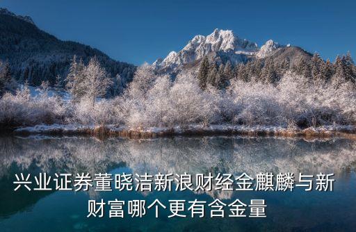 興業(yè)證券董曉潔新浪財經(jīng)金麒麟與新 財富哪個更有含金量
