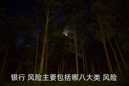 銀行 風險主要包括哪八大類 風險