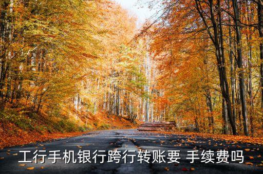 工行手機(jī)銀行跨行轉(zhuǎn)賬要 手續(xù)費嗎