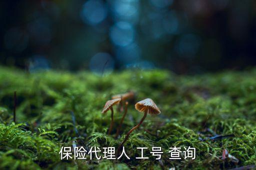 保險(xiǎn)代理人 工號 查詢