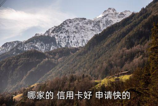 網(wǎng)上信用卡申請哪個(gè)銀行好發(fā)卡,初次申請信用卡哪個(gè)銀行容易通過