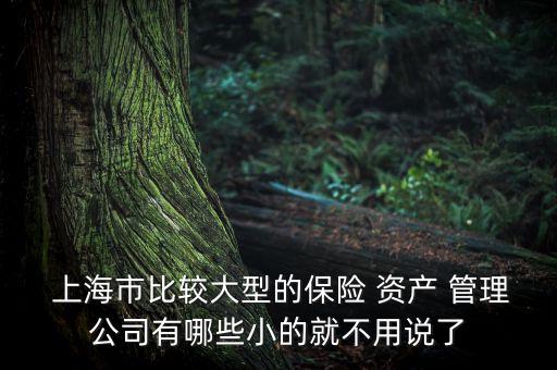 上海朗誠(chéng)資產(chǎn)管理