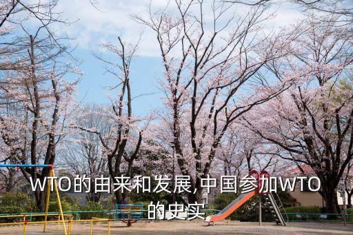 WTO的由來(lái)和發(fā)展,中國(guó)參加WTO的史實(shí)