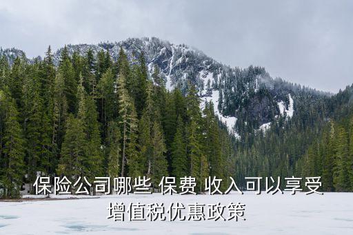 2015保險(xiǎn)公司保費(fèi)收入,保險(xiǎn)公司原保費(fèi)收入是什么意思