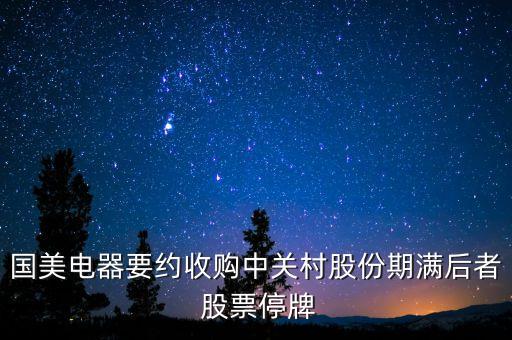 國美電器要約收購中關村股份期滿后者 股票停牌