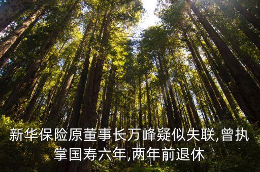 新華保險(xiǎn)原董事長萬峰疑似失聯(lián),曾執(zhí)掌國壽六年,兩年前退休