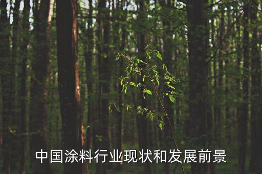中國(guó)涂料行業(yè)現(xiàn)狀和發(fā)展前景