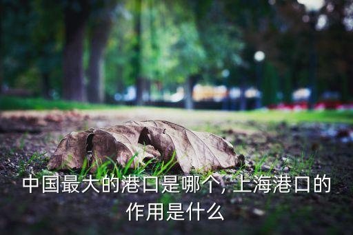 中國(guó)最大的港口是哪個(gè), 上海港口的作用是什么