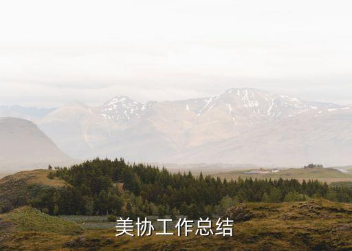 美協(xié)工作總結