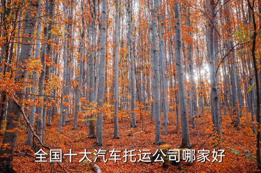 全國十大汽車托運公司哪家好