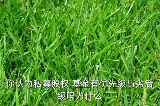上市公司做劣后的基金,大基金二期投資了哪些上市公司