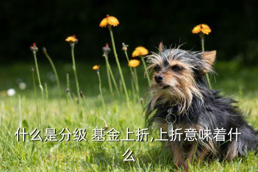 什么是分級 基金上折,上折意味著什么