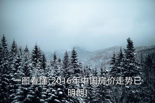 一圖看懂:2016年中國(guó)房?jī)r(jià)走勢(shì)已明朗!