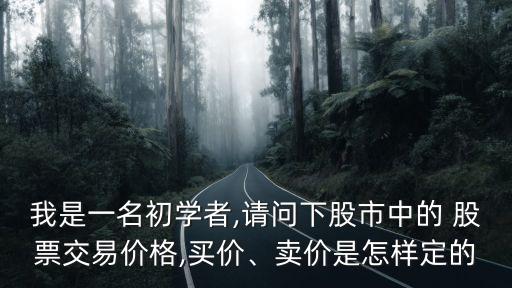我是一名初學(xué)者,請(qǐng)問下股市中的 股票交易價(jià)格,買價(jià)、賣價(jià)是怎樣定的