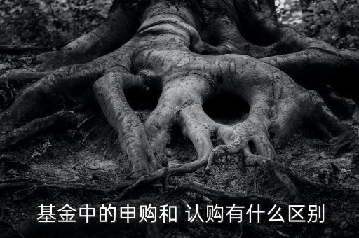 基金認購