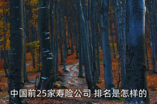 中國前25家壽險公司 排名是怎樣的