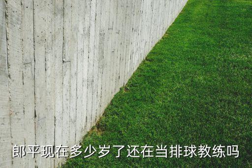 郎平現(xiàn)在多少歲了還在當排球教練嗎