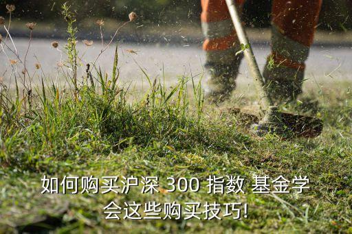 如何購買滬深 300 指數(shù) 基金學會這些購買技巧!